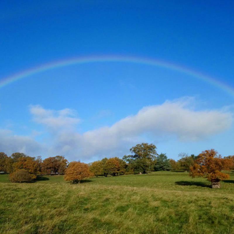 Rainbow